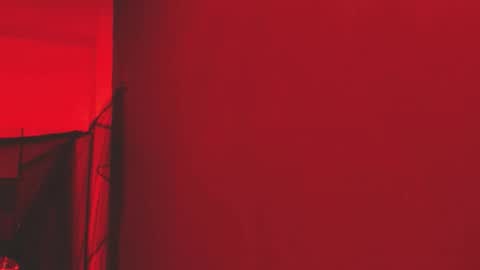  P A M  online show from 11/01/25, 04:03