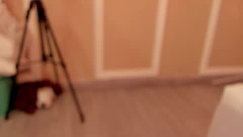 Snapshot of pamelamendez_1 chatting on 02/27/26, 04:56 pamelamendez_1 online show from 02/27/26, 04:56