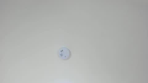 PAMELA online show from 10/23/25, 02:33