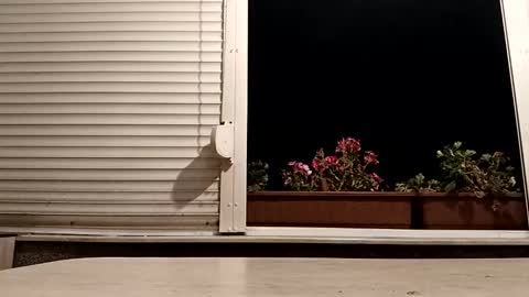 Snapshot of pamid215 chatting on 11/04/25, 05:34 angel hris online show from 11/04/25, 05:34