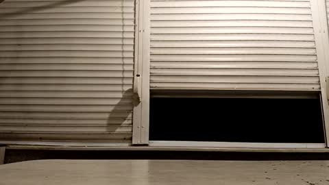 Snapshot of pamid215 chatting on 11/24/25, 06:18 angel hris online show from 11/24/25, 06:18