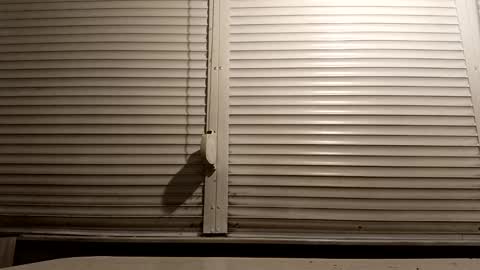 Snapshot of pamid215 chatting on 01/13/26, 06:46 angel hris online show from 01/13/26, 06:46