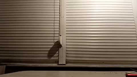 Snapshot of pamid215 chatting on 01/14/26, 04:45 angel hris online show from 01/14/26, 04:45