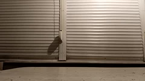 Snapshot of pamid215 chatting on 02/06/26, 04:54 angel hris online show from 02/06/26, 04:54