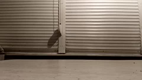 Snapshot of pamid215 chatting on 02/25/26, 04:27 angel hris online show from 02/25/26, 04:27