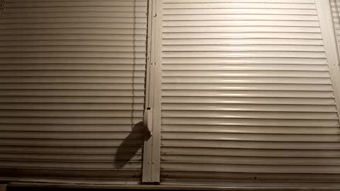 Snapshot of pamid215 chatting on 03/05/26, 07:10 angel hris online show from 03/05/26, 07:10