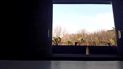 Snapshot of pamid215 chatting on 04/03/26, 03:43 angel hris online show from 04/03/26, 03:43