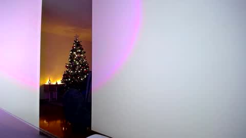 pandora__1 online show from 11/05/25, 02:11