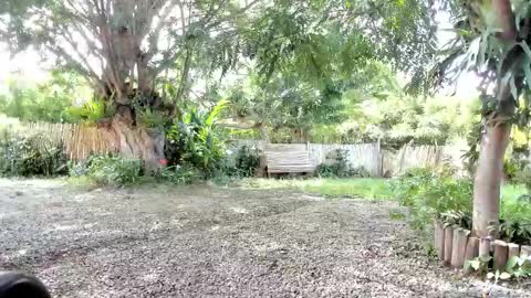 paoguerrax354 online show from 10/19/25, 06:41