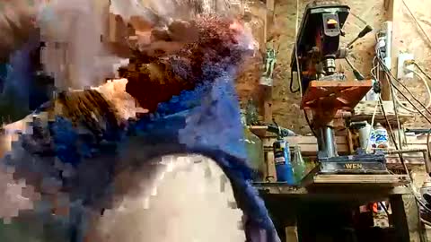 Snapshot of papajb70 chatting on 09/10/25, 02:22 papajb70 online show from 09/10/25, 02:22