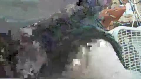 Snapshot of papajb70 chatting on 09/29/25, 02:27 papajb70 online show from 09/29/25, 02:27