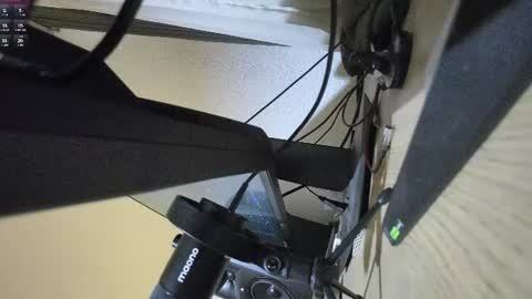 papilovesclits online show from 06/21/26, 03:47