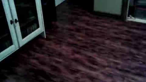 Ricky online show from 05/25/26, 03:51