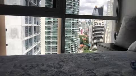 Snapshot of paradise_bird01 chatting on 03/15/26, 05:30 Paradise Bird01 online show from 03/15/26, 05:30