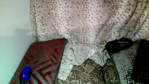 Snapshot of parlay0028 chatting on 12/21/24, 10:40 Parlay tellio online show from 12/21/24, 10:40