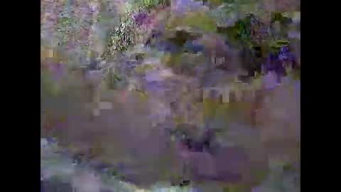 Snapshot of pascalo06 chatting on 02/03/26, 12:32 anytimeuwant online show from 02/03/26, 12:32