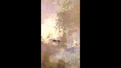 patrickalan2 online show from 12/14/25, 02:50