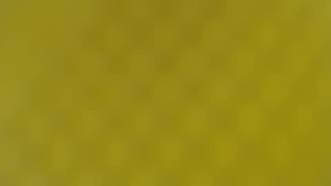 patty squirt87 online show from 02/19/25, 05:49