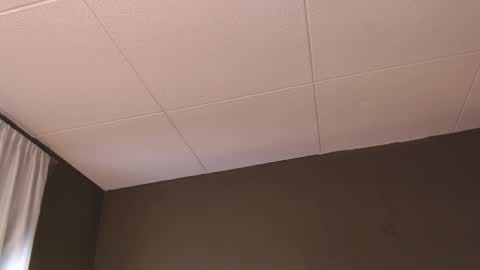 Snapshot of paul_evanss chatting on 12/05/25, 01:31 Paul online show from 12/05/25, 01:31