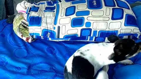 Snapshot of paula_willss chatting on 01/06/25, 12:35 paula_willss online show from 01/06/25, 12:35