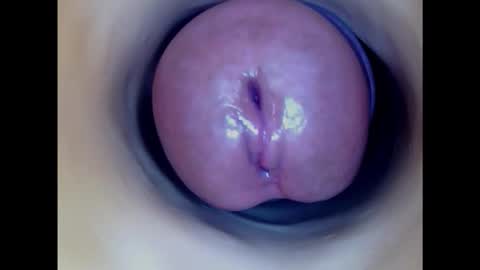 Snapshot of paulainoscente chatting on 02/03/25, 12:25 Paula 18 Aninhos online show from 02/03/25, 12:25