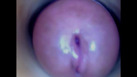 Snapshot of paulainoscente chatting on 02/04/25, 05:10 Paula 18 Aninhos online show from 02/04/25, 05:10