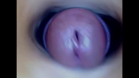 Snapshot of paulainoscente chatting on 02/05/25, 05:52 Paula 18 Aninhos online show from 02/05/25, 05:52