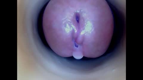 Snapshot of paulainoscente chatting on 02/08/25, 11:13 Paula 18 Aninhos online show from 02/08/25, 11:13