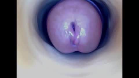 Snapshot of paulainoscente chatting on 02/16/25, 09:48 Paula 18 Aninhos online show from 02/16/25, 09:48