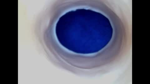 Snapshot of paulainoscente chatting on 02/22/25, 03:23 Paula 18 Aninhos online show from 02/22/25, 03:23