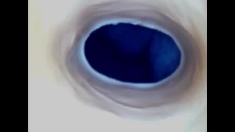 Snapshot of paulainoscente chatting on 03/02/25, 02:19 Paula 18 Aninhos online show from 03/02/25, 02:19