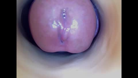 Snapshot of paulainoscente chatting on 03/02/25, 10:16 Paula 18 Aninhos online show from 03/02/25, 10:16