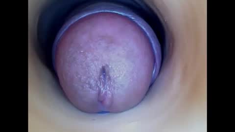 Snapshot of paulainoscente chatting on 10/12/25, 01:37 Paula 18 Aninhos online show from 10/12/25, 01:37