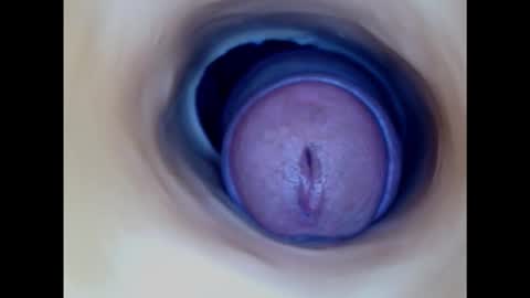 Snapshot of paulainoscente chatting on 10/16/25, 05:52 Paula 18 Aninhos online show from 10/16/25, 05:52