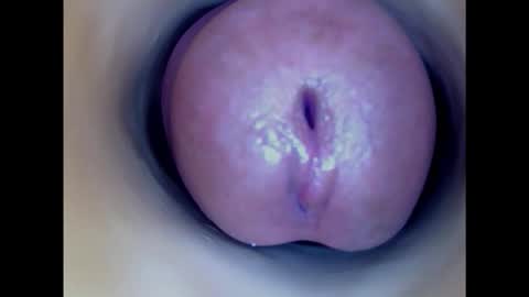 Snapshot of paulainoscente chatting on 10/31/25, 10:22 Paula 18 Aninhos online show from 10/31/25, 10:22