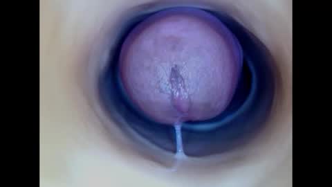 Snapshot of paulainoscente chatting on 12/15/25, 04:33 Paula 18 Aninhos online show from 12/15/25, 04:33