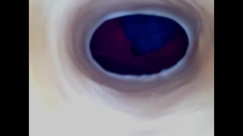 Snapshot of paulainoscente chatting on 12/17/25, 05:57 Paula 18 Aninhos online show from 12/17/25, 05:57