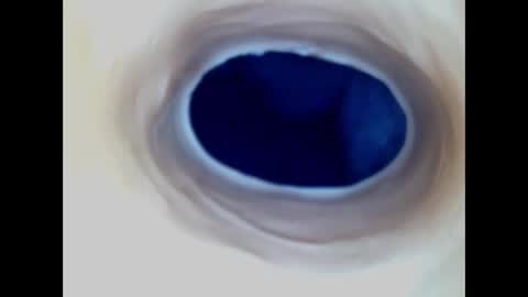 Snapshot of paulainoscente chatting on 12/23/25, 01:03 Paula 18 Aninhos online show from 12/23/25, 01:03