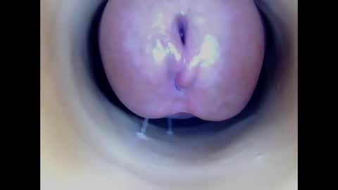 Snapshot of paulainoscente chatting on 01/08/26, 04:37 Paula 18 Aninhos online show from 01/08/26, 04:37