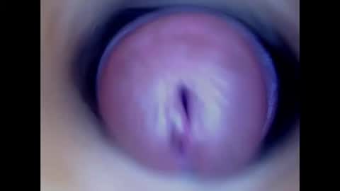 Snapshot of paulainoscente chatting on 01/12/26, 07:41 Paula 18 Aninhos online show from 01/12/26, 07:41