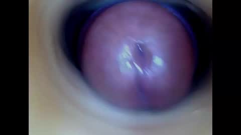 Snapshot of paulainoscente chatting on 03/01/26, 06:37 Paula 18 Aninhos online show from 03/01/26, 06:37