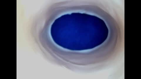 Paula 18 Aninhos online show from 06/19/26, 05:06