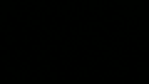 Paul online show from 06/08/26, 07:25