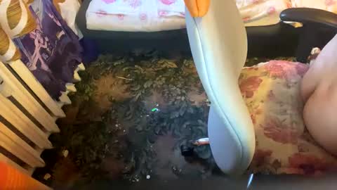 Snapshot of pawelmajster3 chatting on 10/18/25, 03:35 pawelmajster3 online show from 10/18/25, 03:35