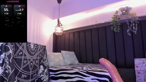 Snapshot of pawggirl18 chatting on 12/17/24, 08:54 Dani online show from 12/17/24, 08:54