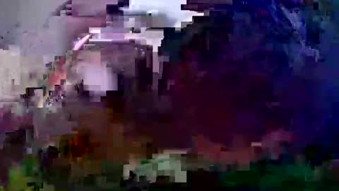 Snapshot of pay2playangel12 chatting on 12/21/24, 10:06 Coco channel online show from 12/21/24, 10:06