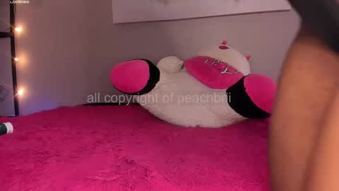 Snapshot of peachbrii chatting on 11/14/25, 02:05 Briana online show from 11/14/25, 02:05