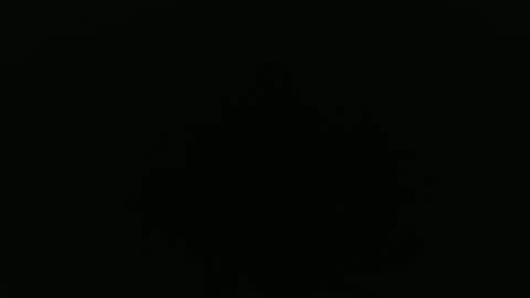 Snapshot of peavsters chatting on 09/24/25, 08:28 Alex online show from 09/24/25, 08:28