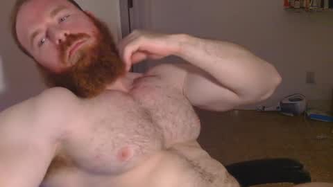 Snapshot of pec_inspector chatting on 01/30/25, 03:55 Pec inspector online show from 01/30/25, 03:55