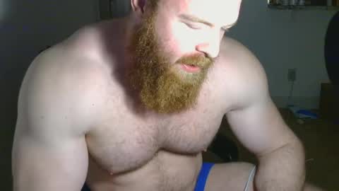 Pec inspector online show from 02/14/25, 05:41